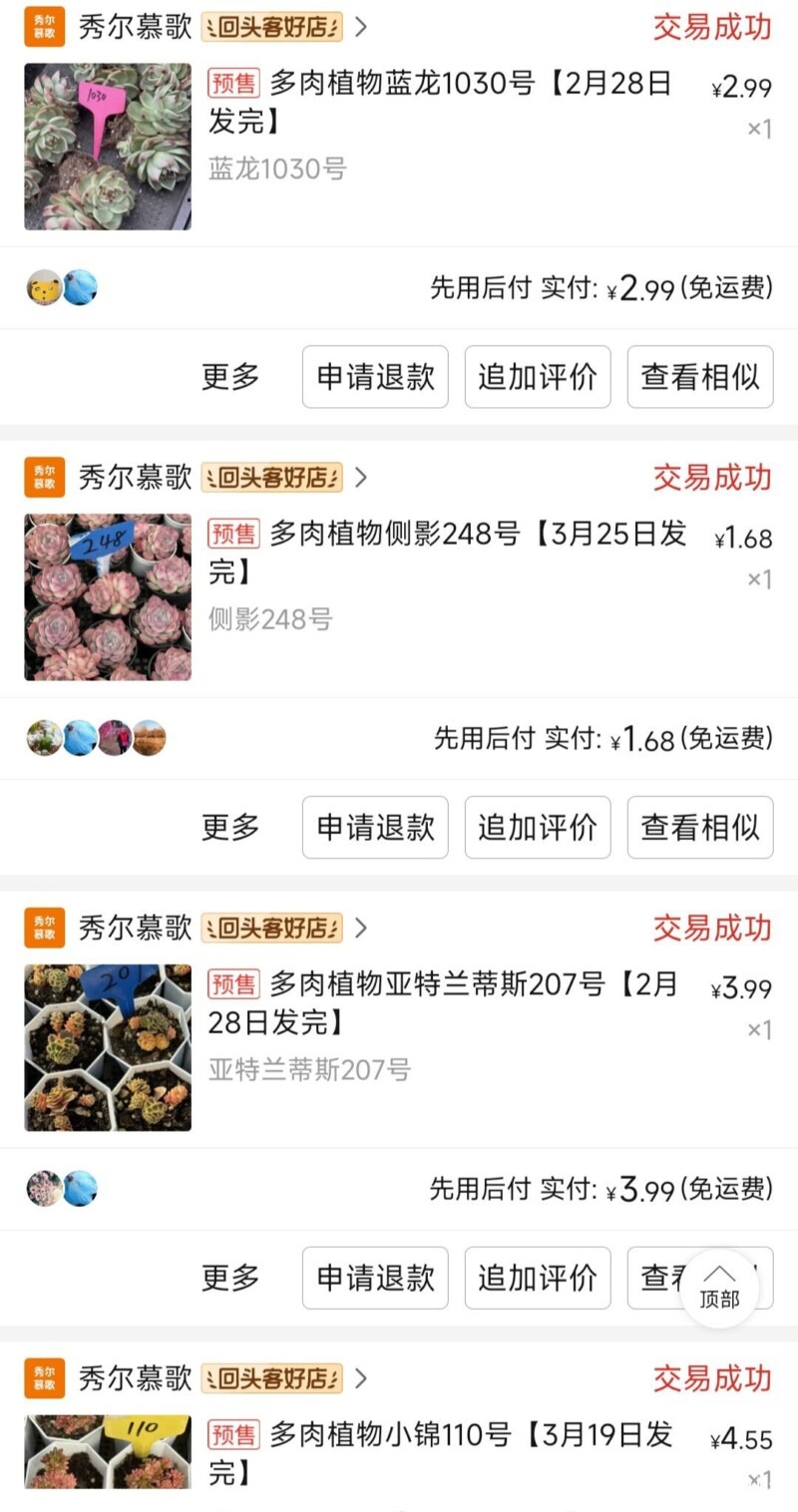 值得购买的多肉店铺