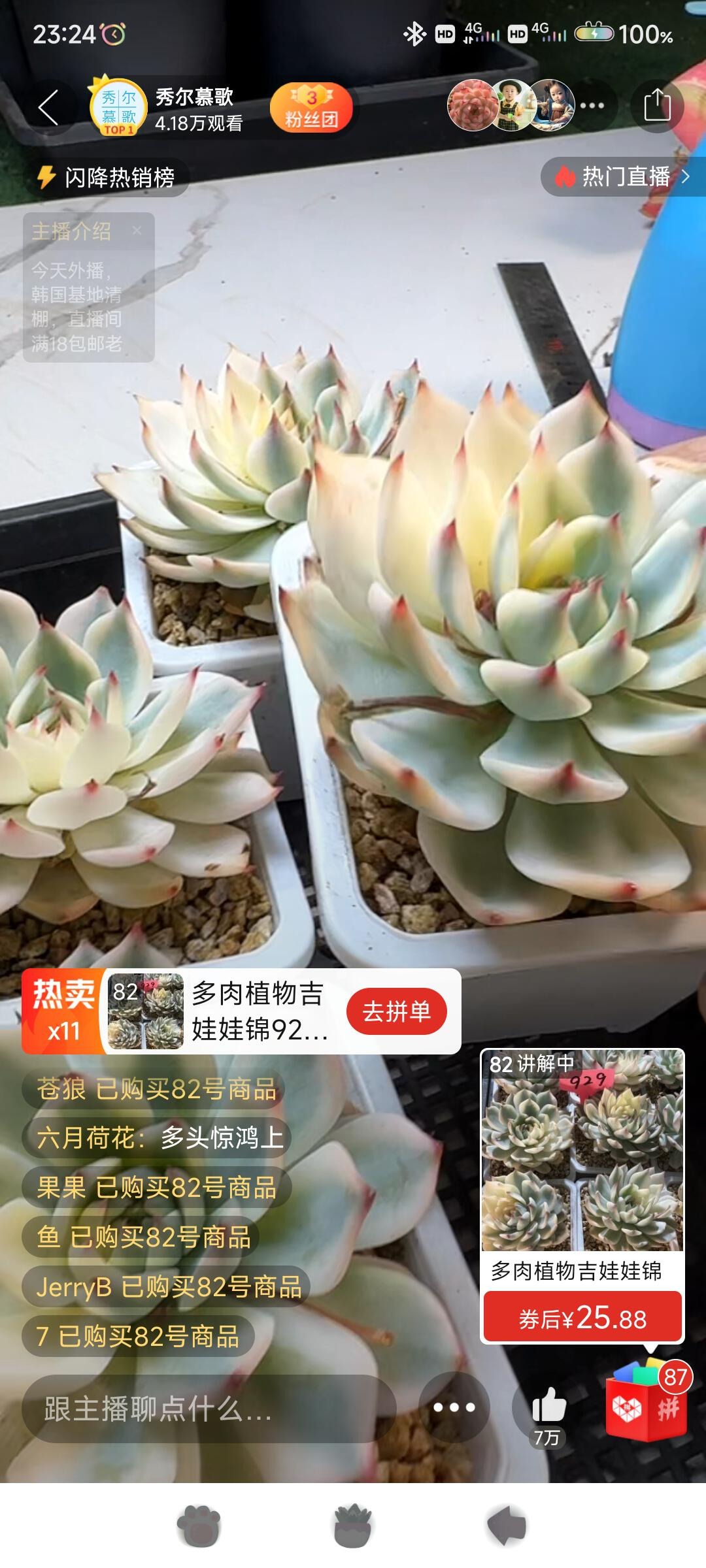 值得购买的多肉店铺