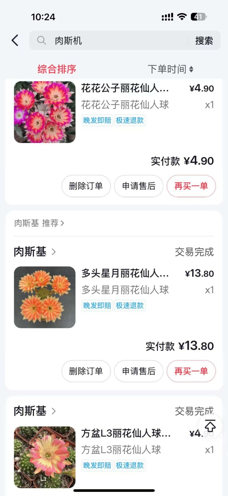 仙人球花开的季节
