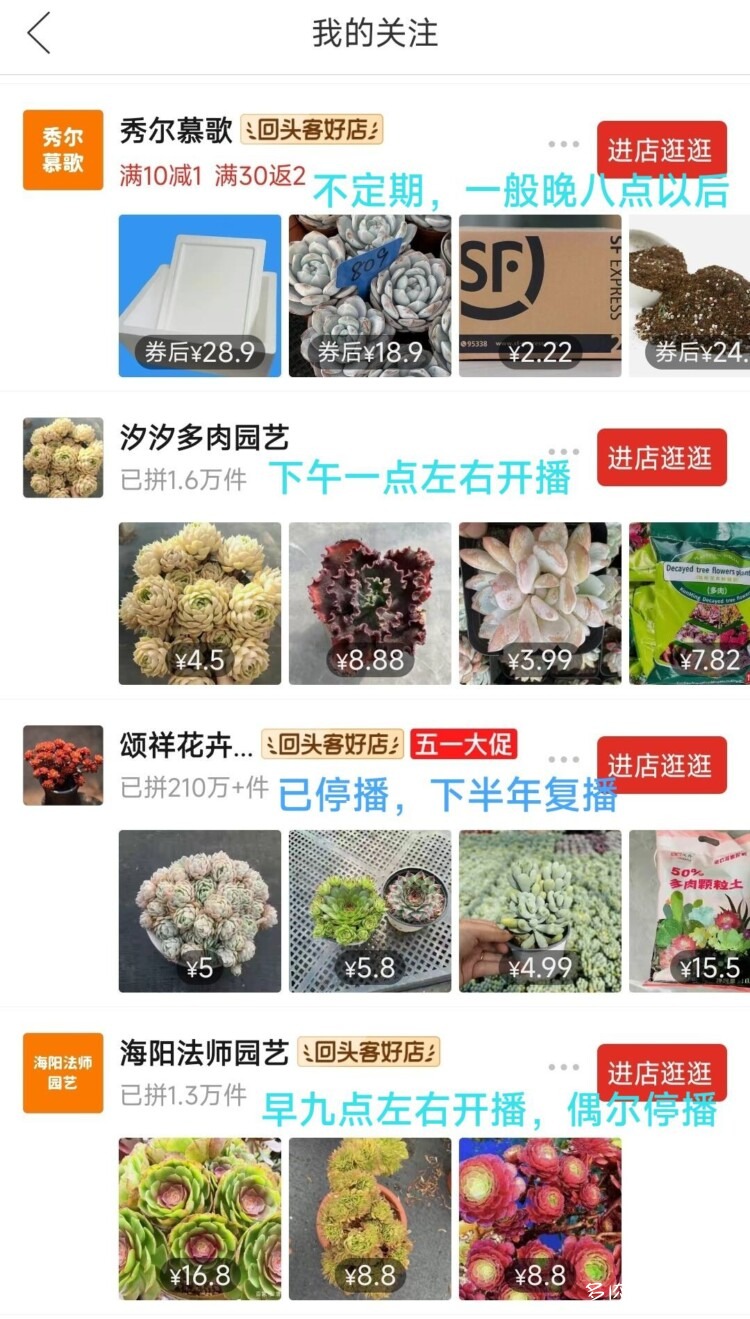 云南店铺多肉推荐