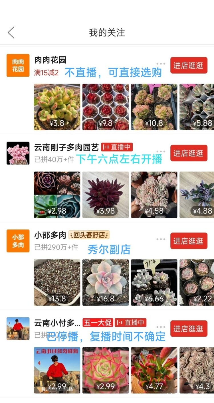 云南店铺多肉推荐