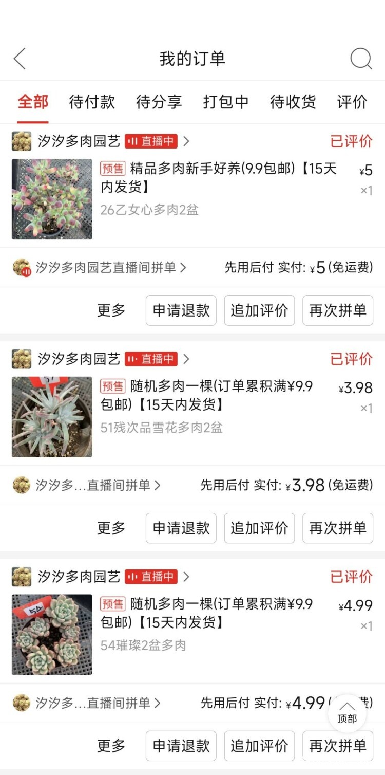 云南店铺多肉推荐