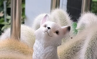 九尾狐和她的小伙伴