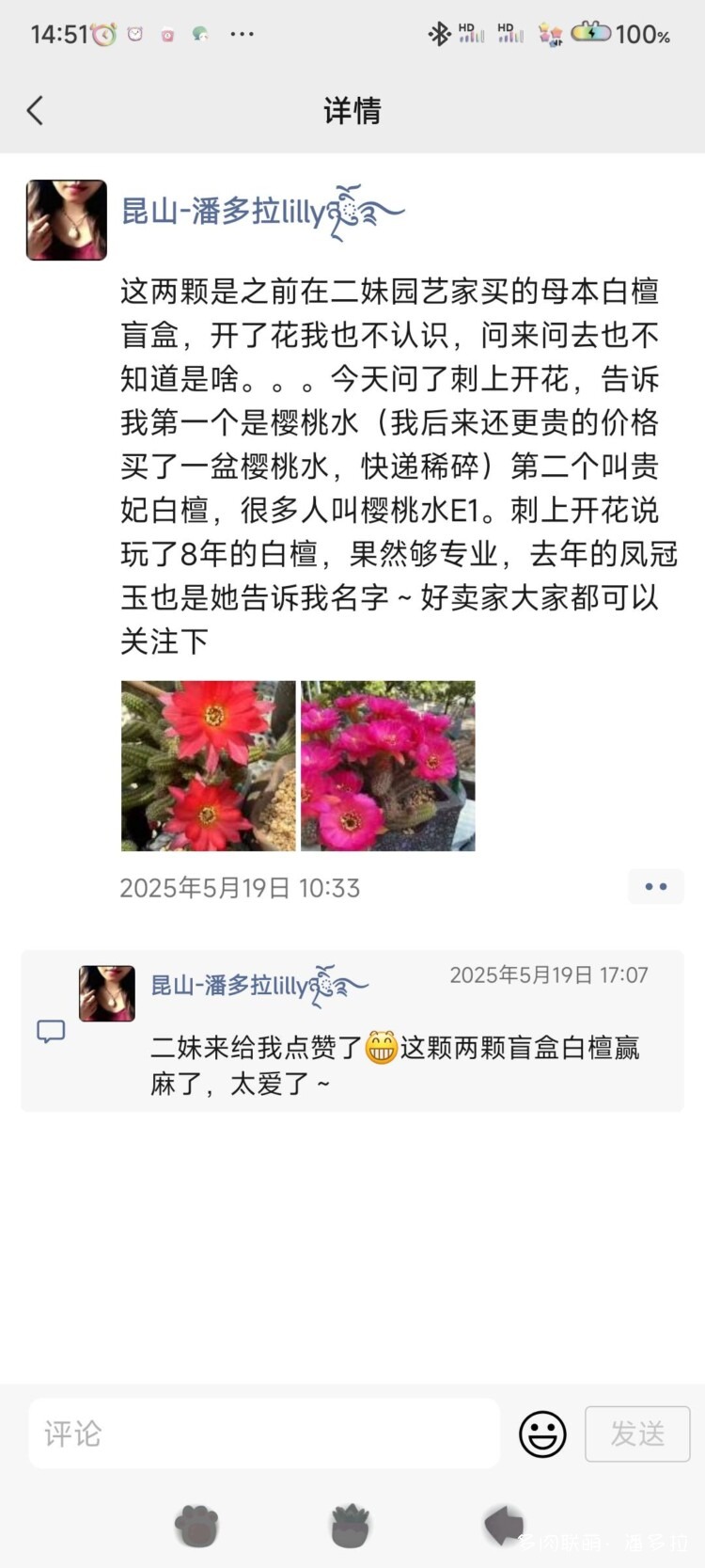 值得夸夸的仙人球花