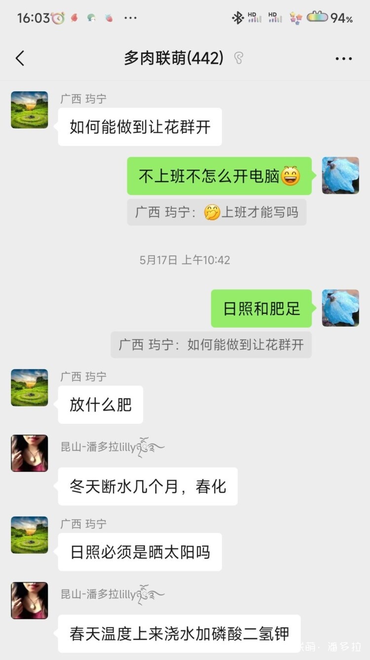 值得夸夸的仙人球花
