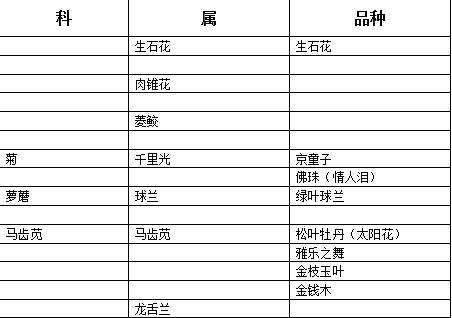 朋友圈的美多肉