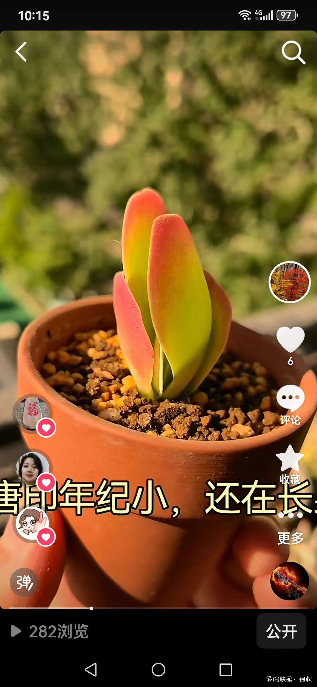 朋友圈的美多肉