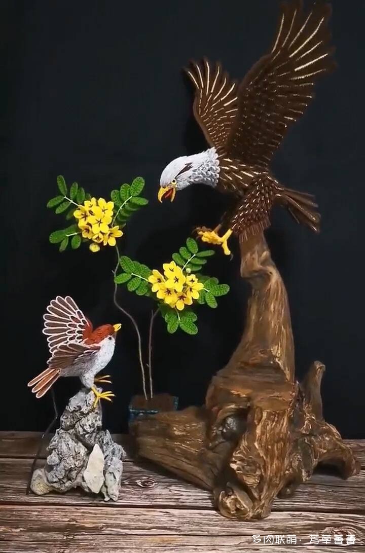 芳草的球花还有毛线花