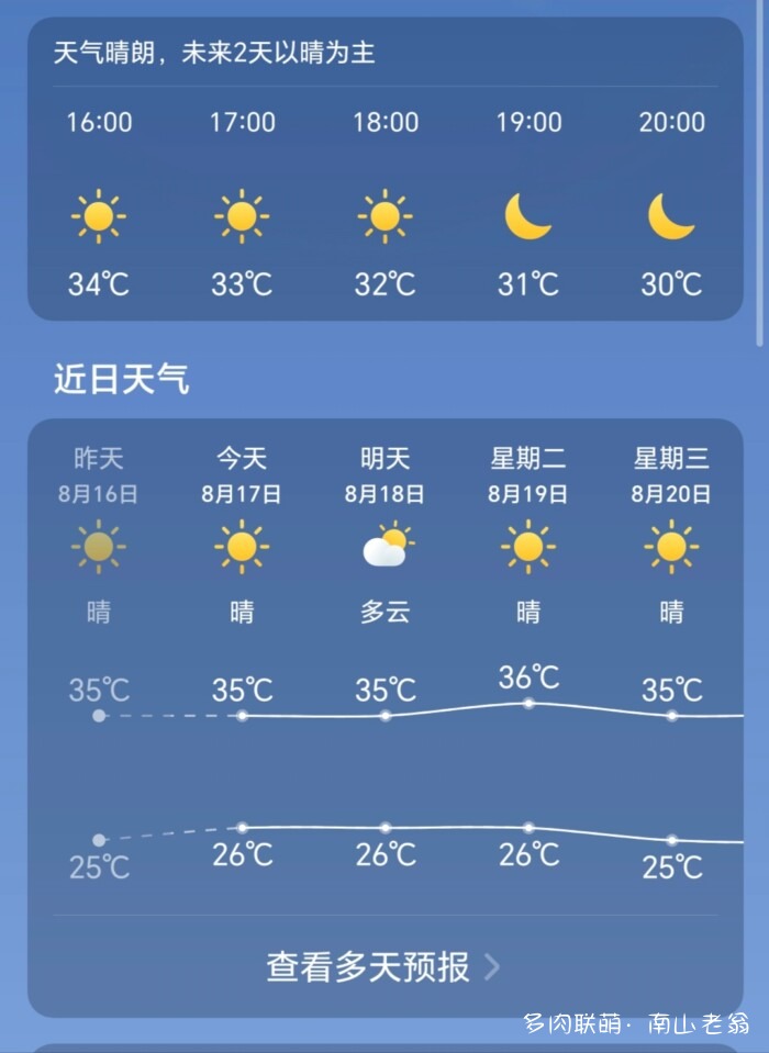 刚出三伏的多肉