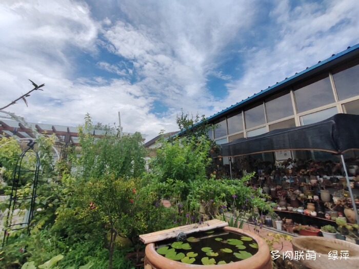 夏天旅游和球都不容错过