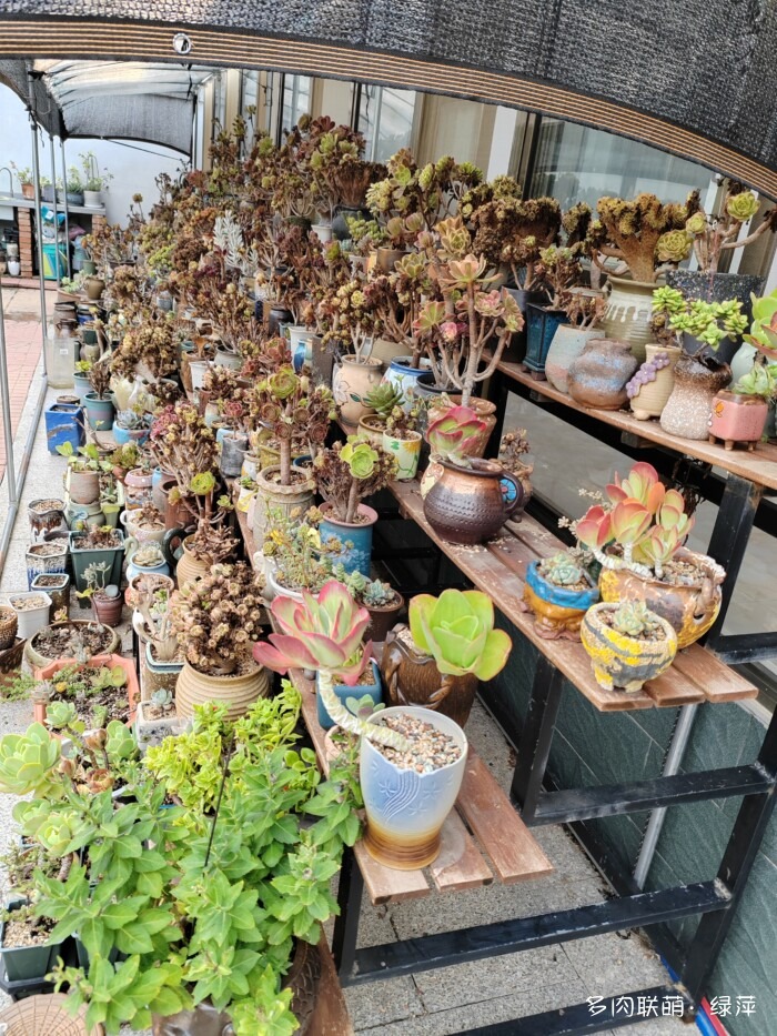 夏天旅游和球都不容错过