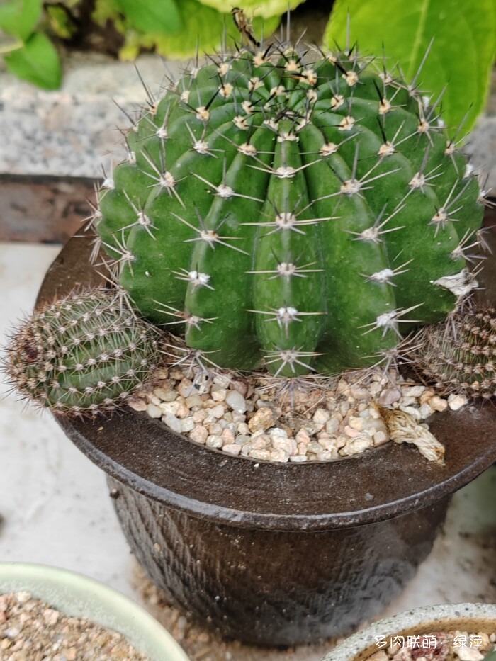 夏天旅游和球都不容错过