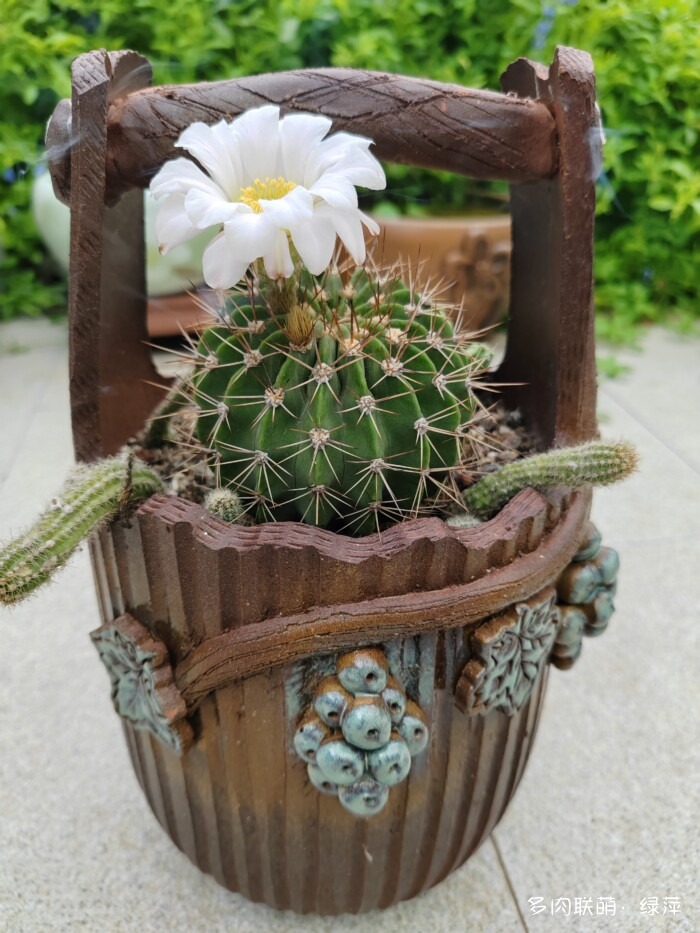 夏天旅游和球都不容错过