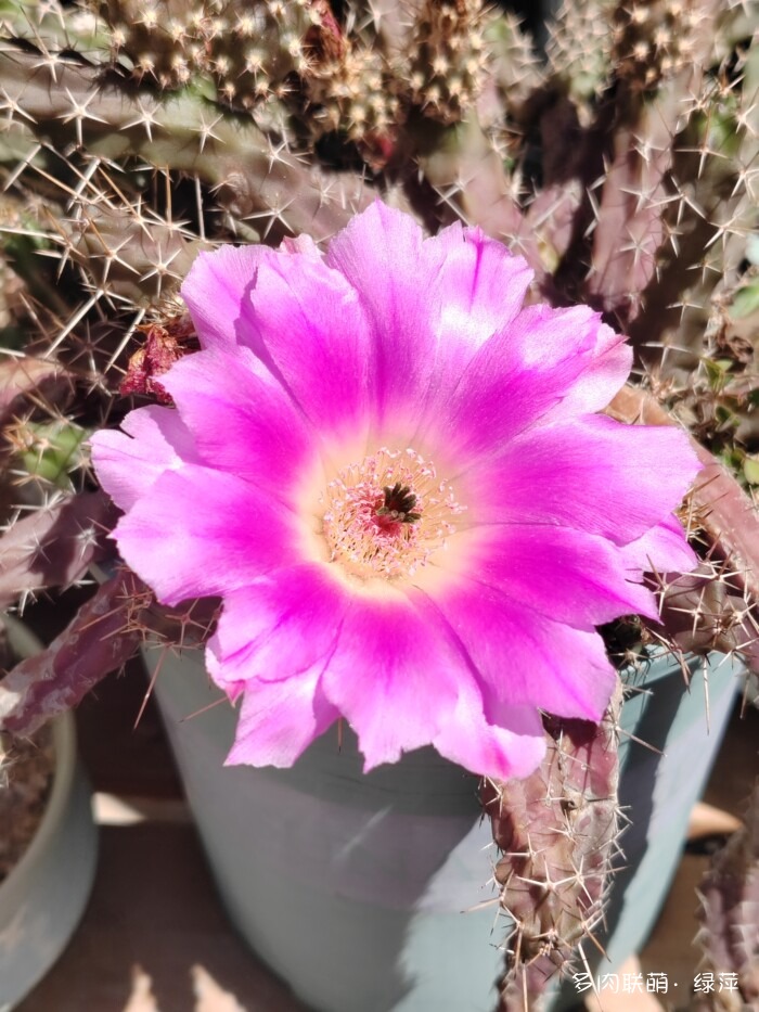 夏天旅游和球都不容错过