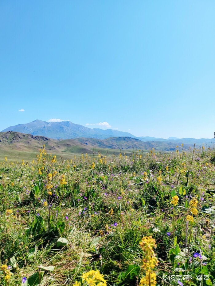 夏天旅游和球都不容错过