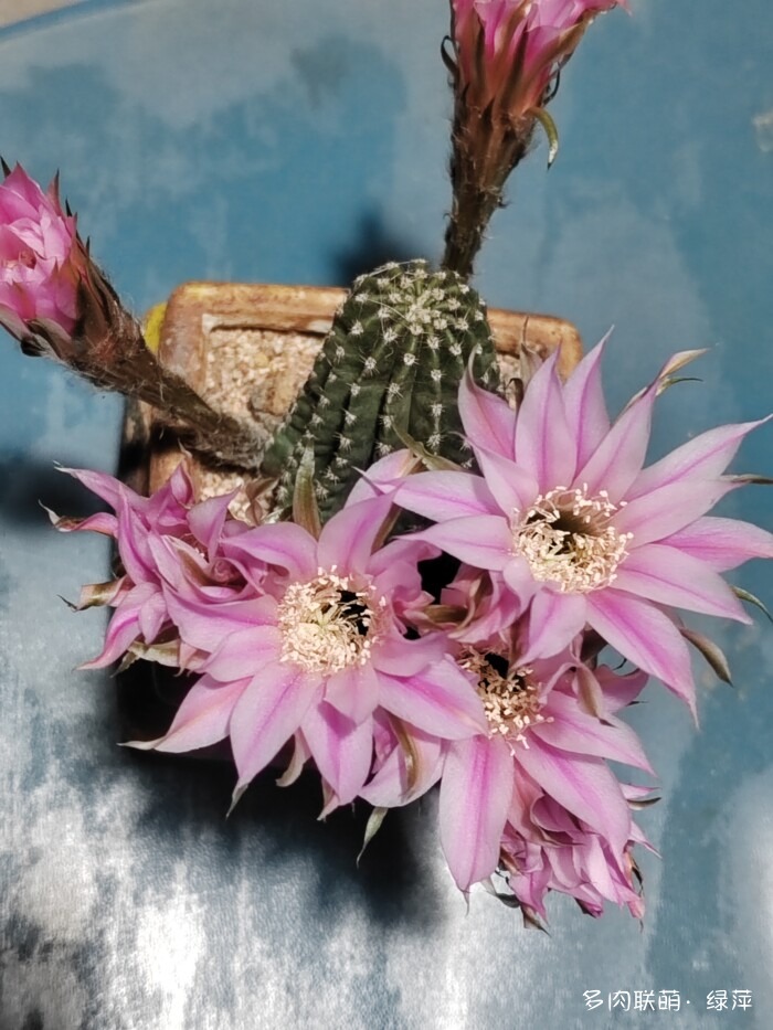 夏天旅游和球都不容错过