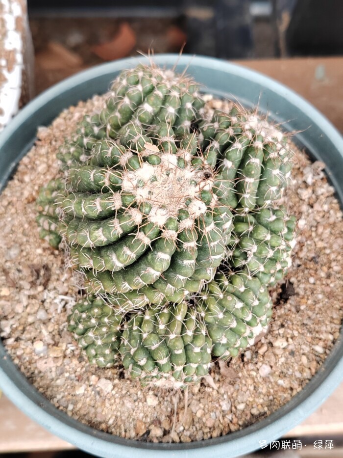 夏天旅游和球都不容错过