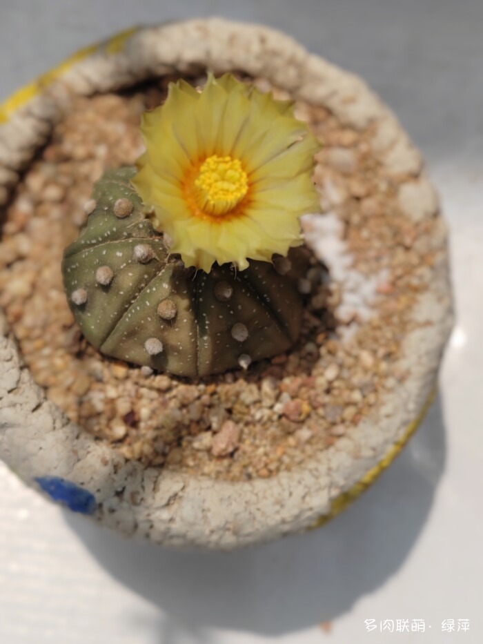 夏天旅游和球都不容错过