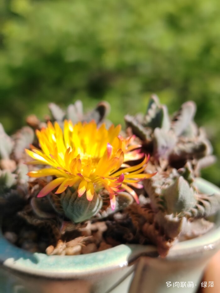 夏天旅游和球都不容错过