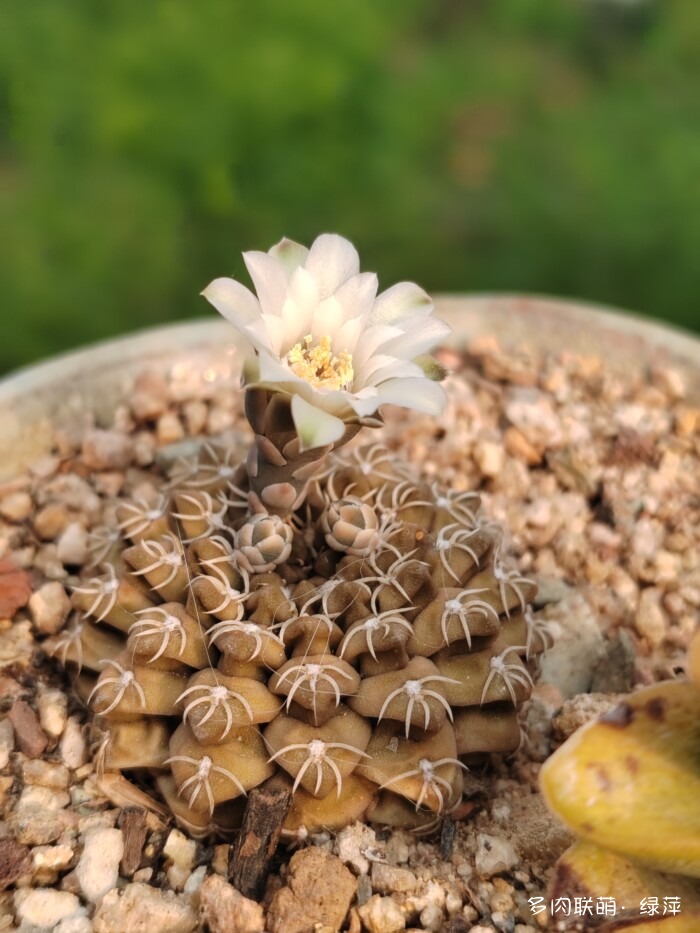 夏天旅游和球都不容错过