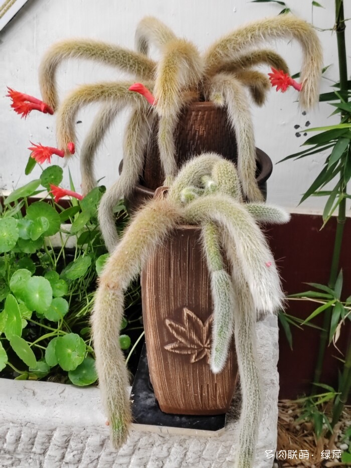 夏天旅游和球都不容错过