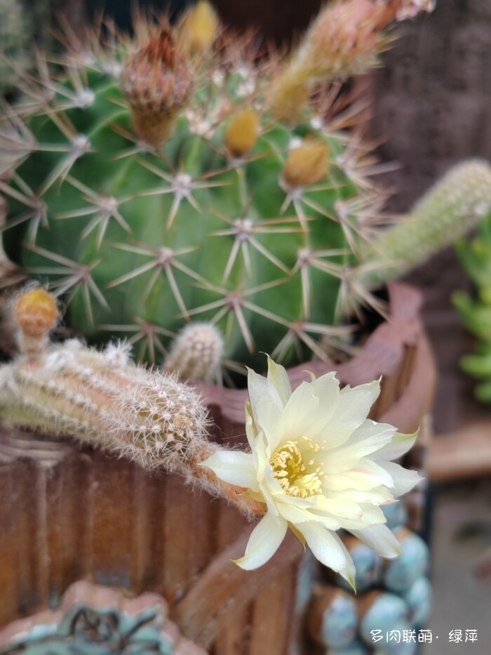 夏天旅游和球都不容错过