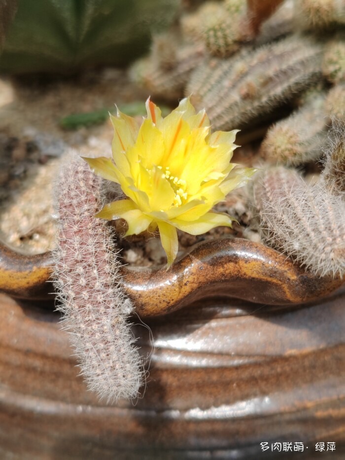 夏天旅游和球都不容错过