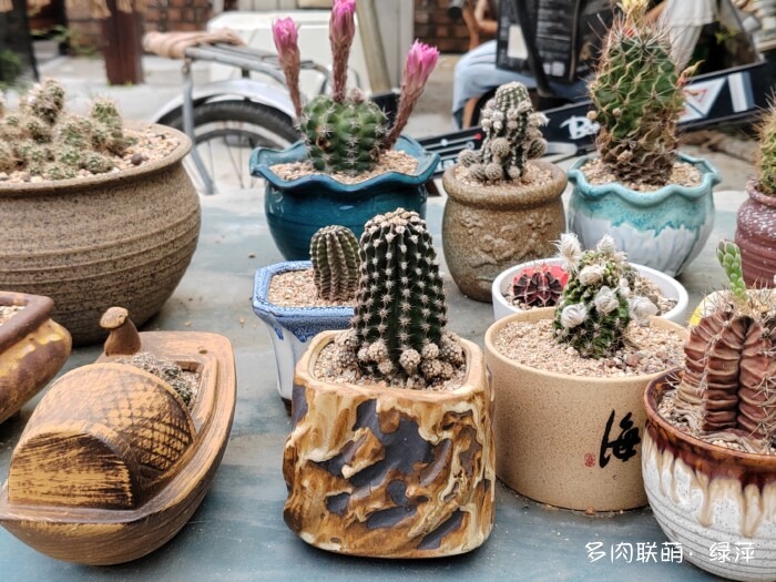 夏天旅游和球都不容错过