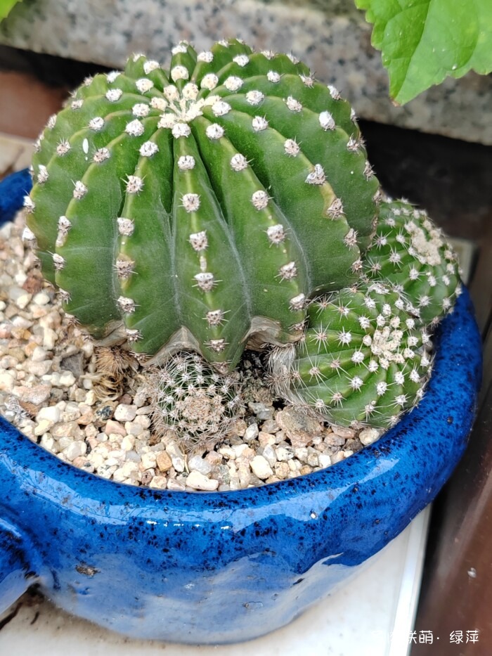 夏天旅游和球都不容错过