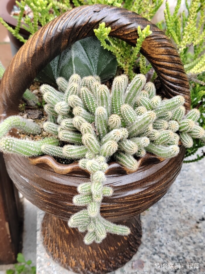 夏天旅游和球都不容错过