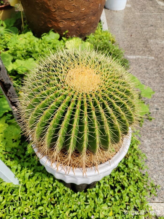 夏天旅游和球都不容错过