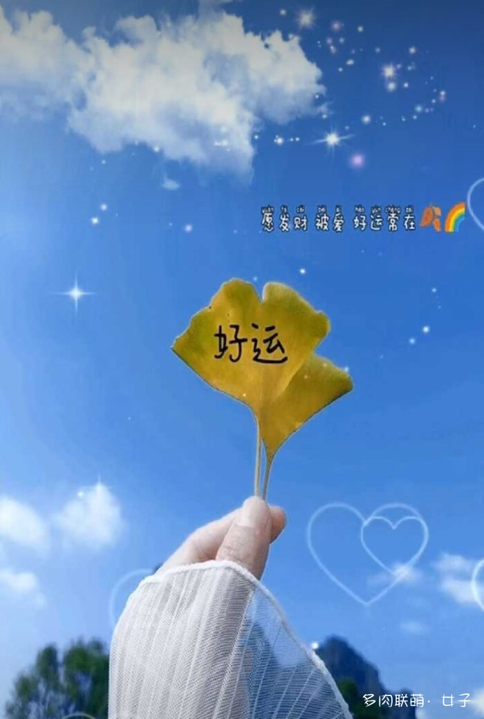 秋天的多肉