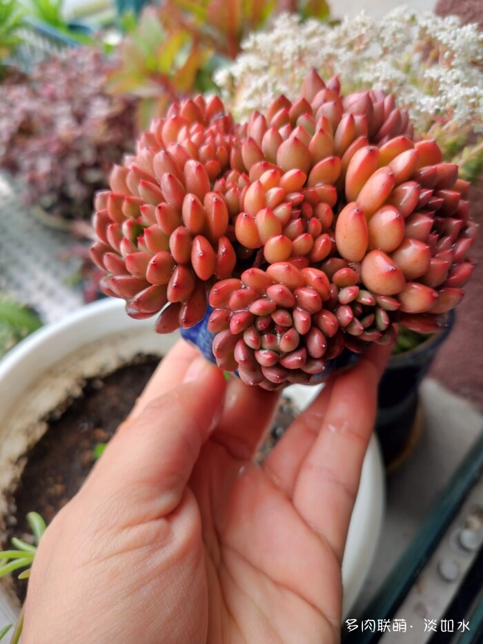 红宝石