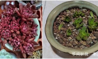 与夏同行，在总结中成长