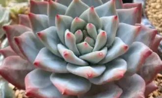 春去秋来，旧照新发