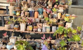 11月，意想不到的事还是发生了