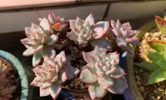 入冬前的匆匆一瞥